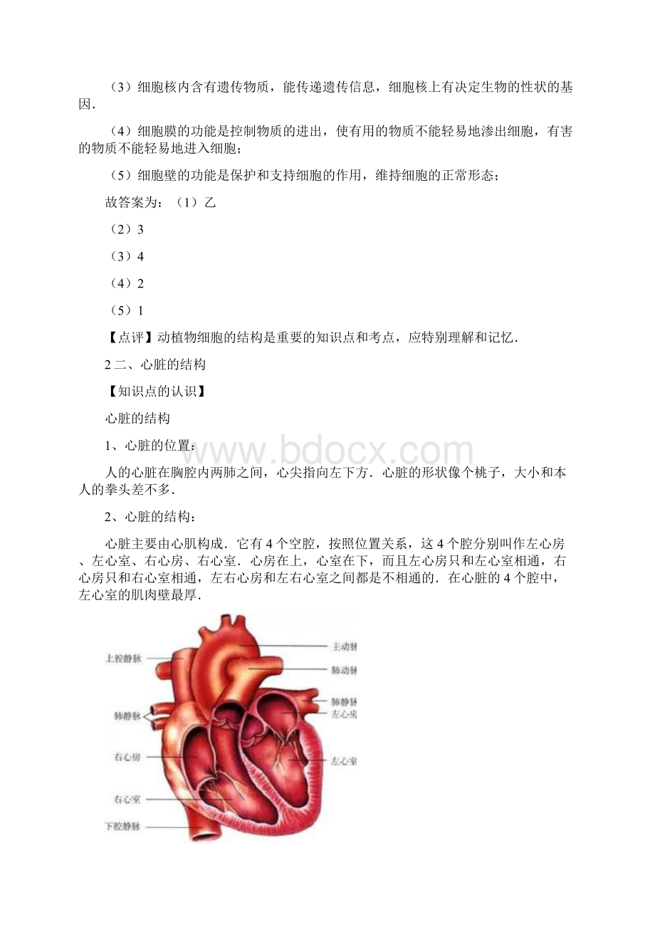 中考生物热点知识汇编含练习题及答案全套Word格式.docx_第3页