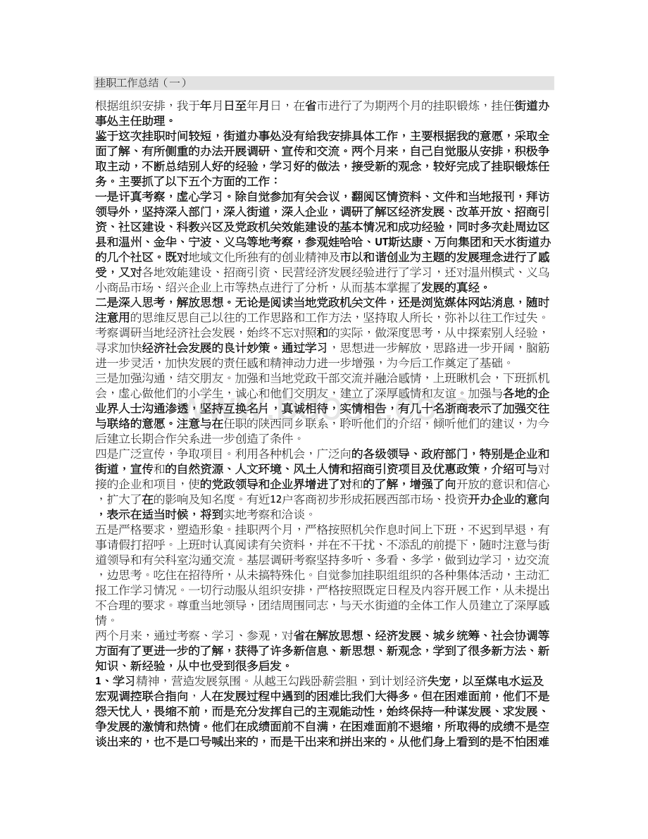 挂职工作总结Word文件下载.doc