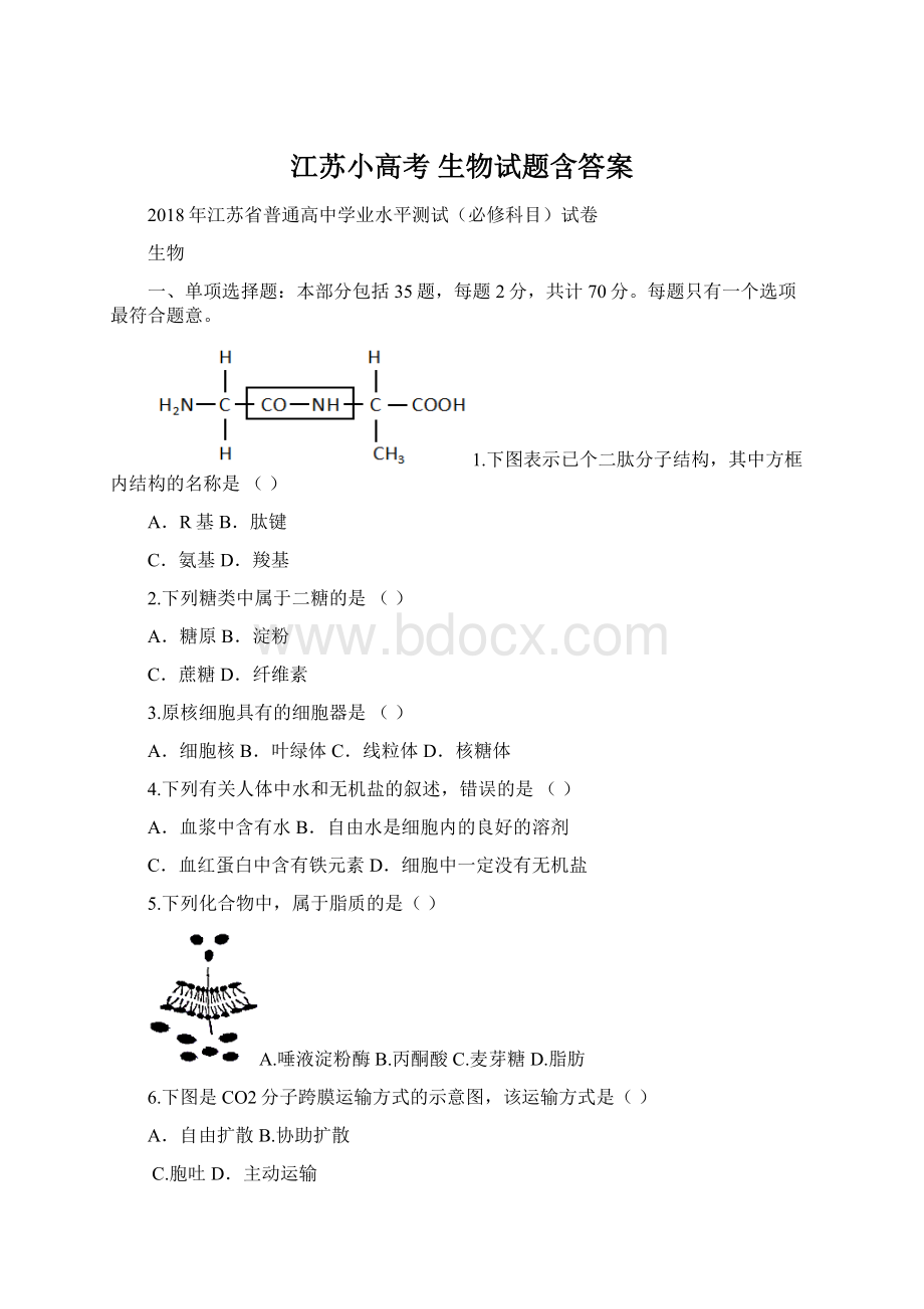 江苏小高考 生物试题含答案.docx