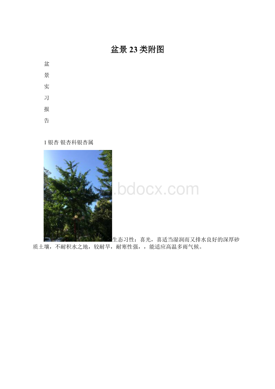 盆景23类附图文档格式.docx_第1页