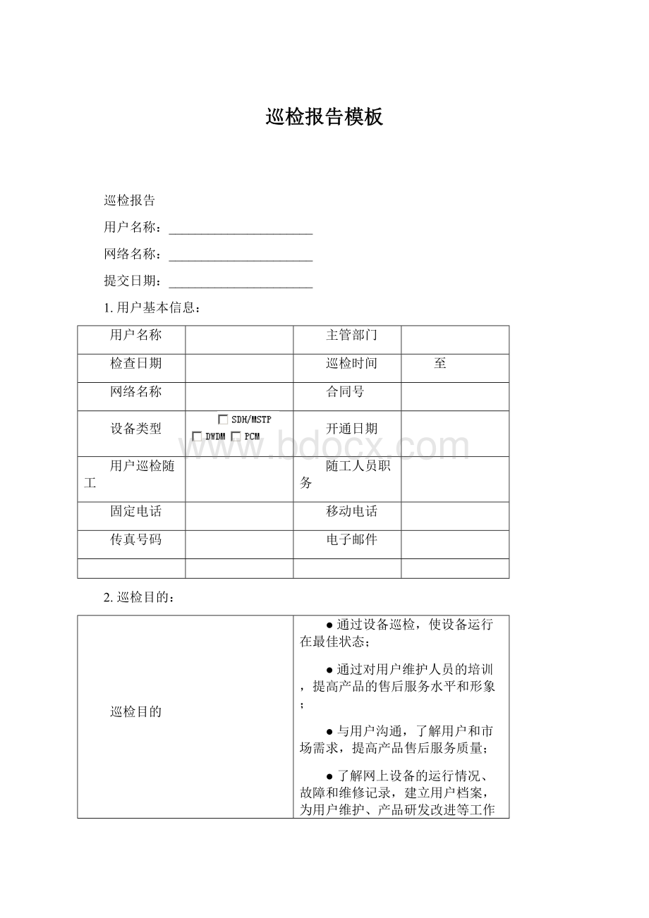 巡检报告模板文档格式.docx