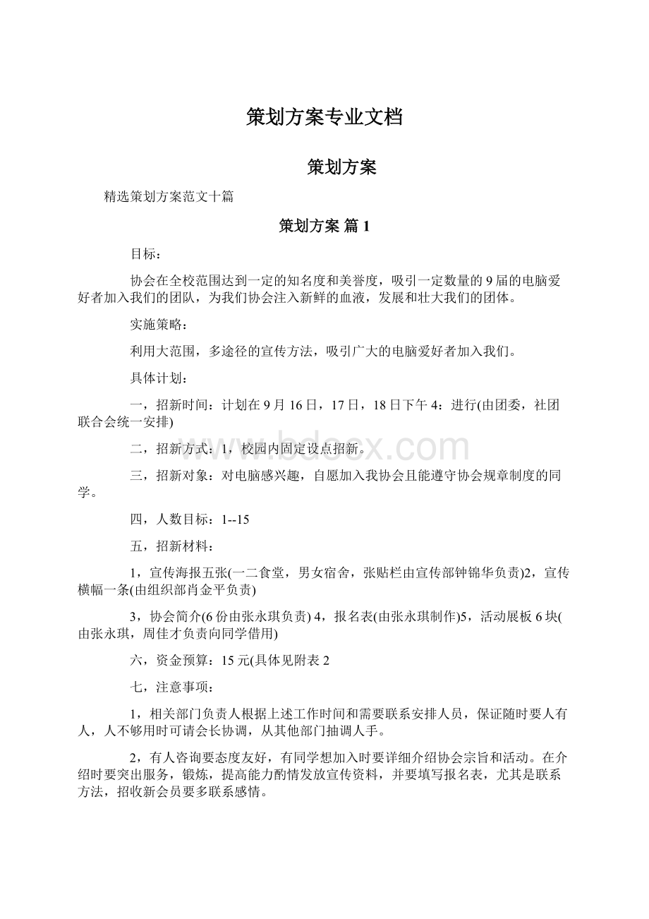 策划方案专业文档Word文档格式.docx