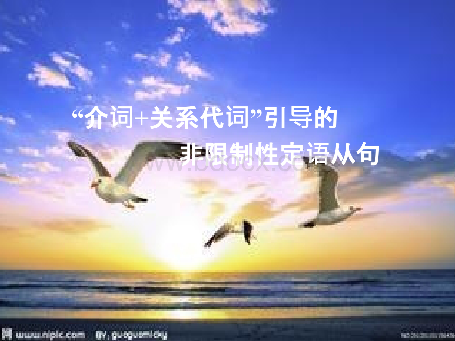 介词前置的定语从句.ppt