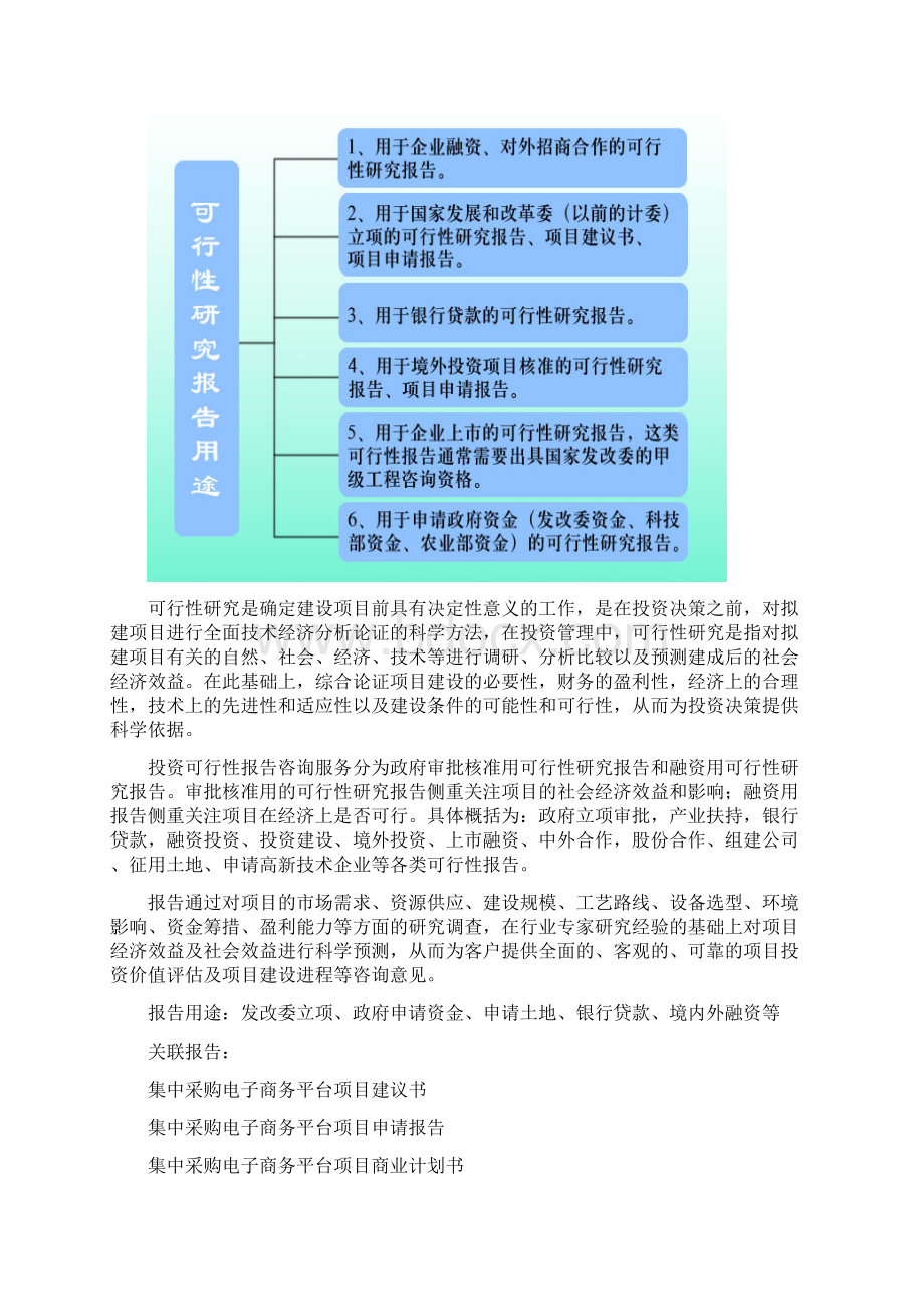 贵州重点项目集中采购电子商务平台项目可行性研究报告.docx_第2页