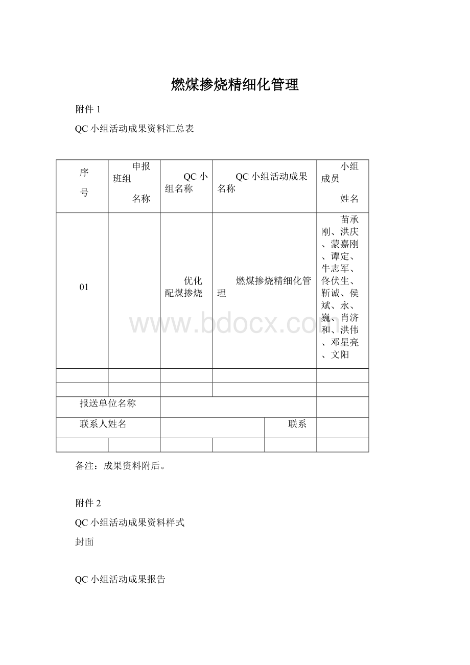 燃煤掺烧精细化管理.docx