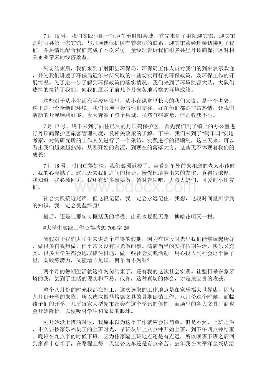 大学生实践工作心得感想700字Word文件下载.docx_第2页