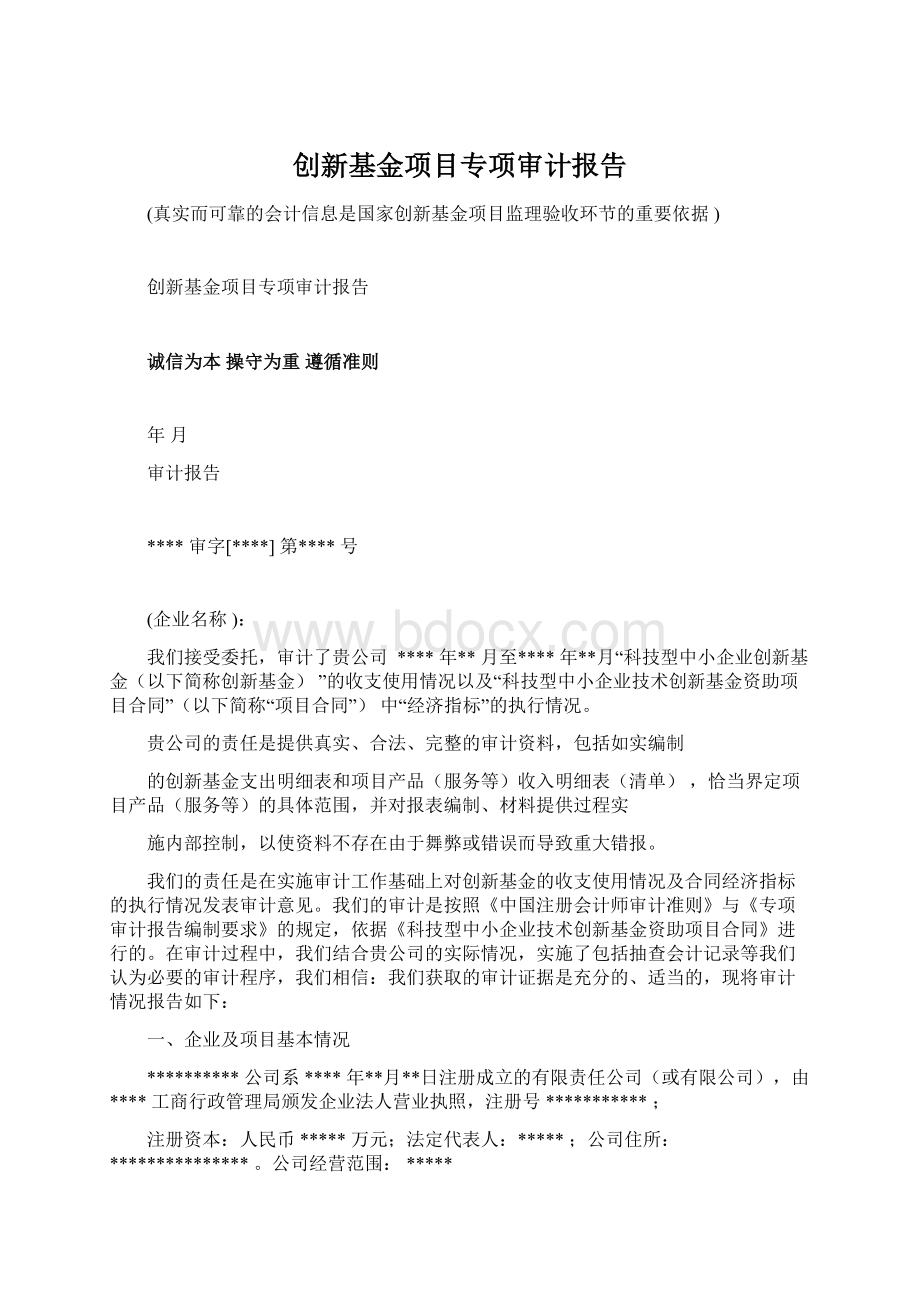 创新基金项目专项审计报告Word文件下载.docx