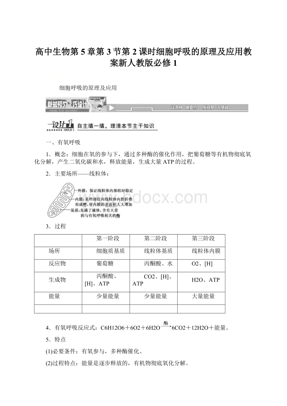 高中生物第5章第3节第2课时细胞呼吸的原理及应用教案新人教版必修1Word文档格式.docx_第1页