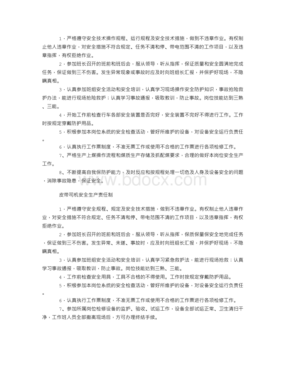 输煤专业管理制度Word文档格式.doc_第3页