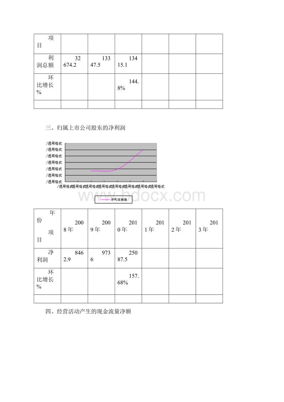 海宁皮城财务分析报告.docx_第2页