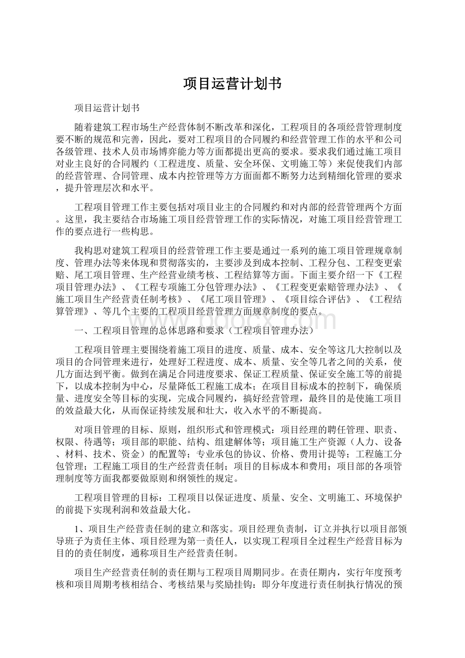 项目运营计划书Word文档下载推荐.docx