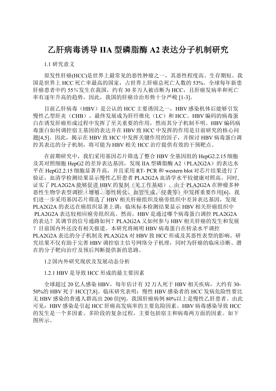 乙肝病毒诱导IIA型磷脂酶A2表达分子机制研究Word格式文档下载.docx_第1页