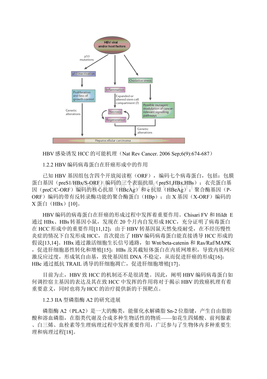 乙肝病毒诱导IIA型磷脂酶A2表达分子机制研究Word格式文档下载.docx_第2页