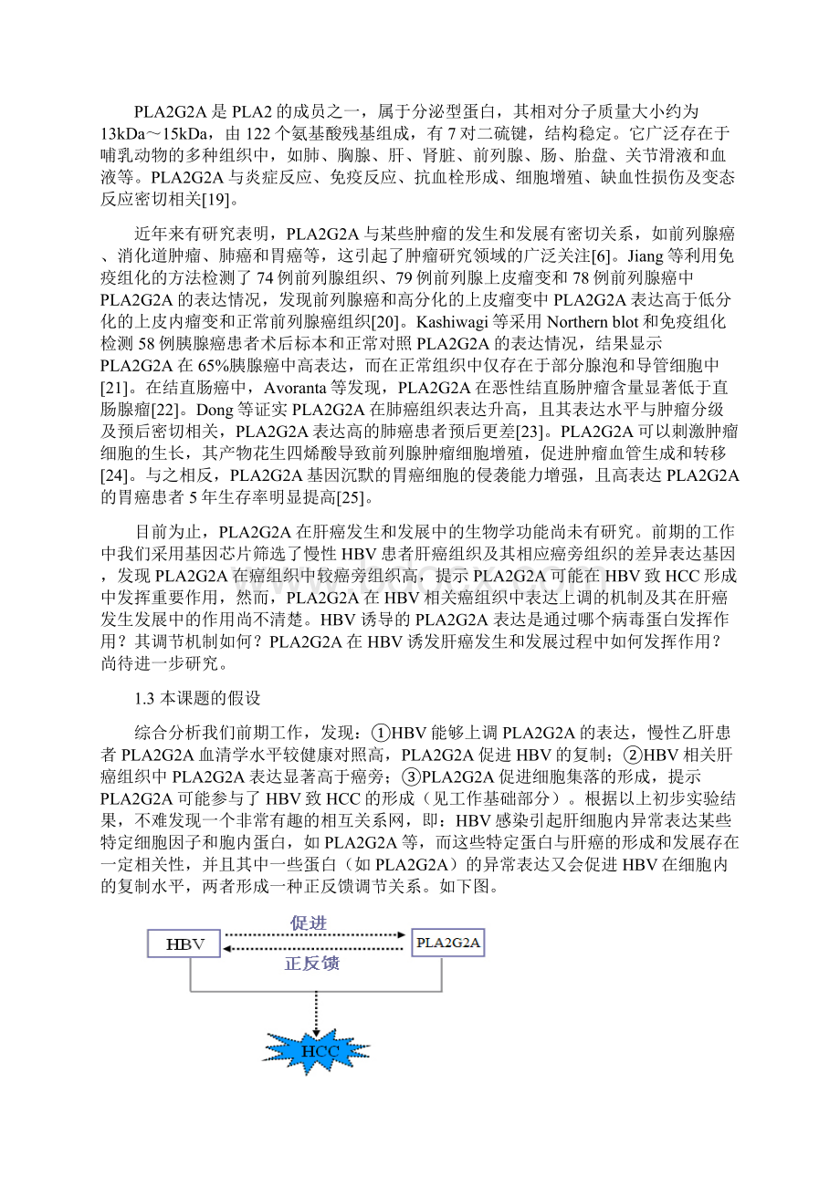 乙肝病毒诱导IIA型磷脂酶A2表达分子机制研究.docx_第3页