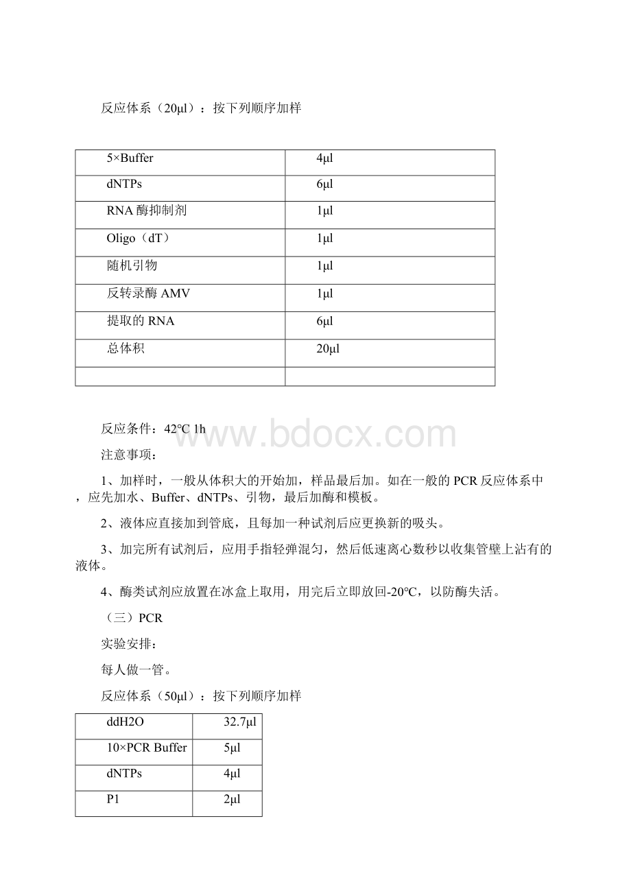 分子生物学实验技术实验内容概要Word格式.docx_第2页