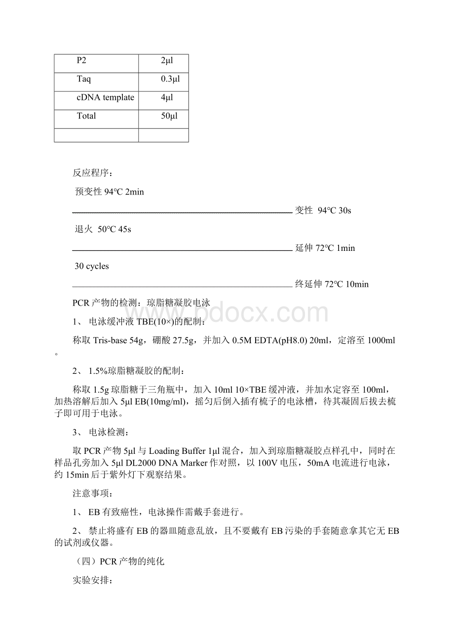 分子生物学实验技术实验内容概要Word格式.docx_第3页