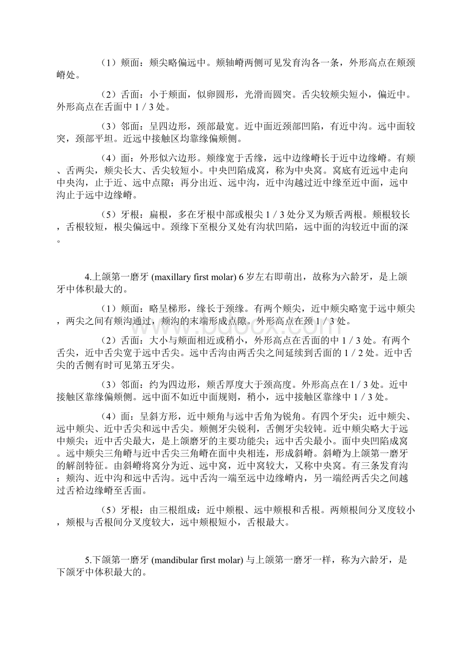 口腔解剖生理学复习重点Word格式.docx_第3页