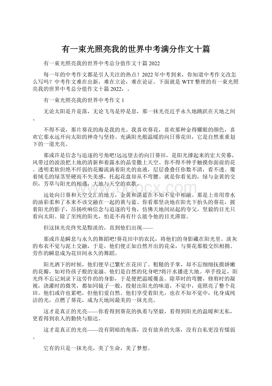 有一束光照亮我的世界中考满分作文十篇文档格式.docx