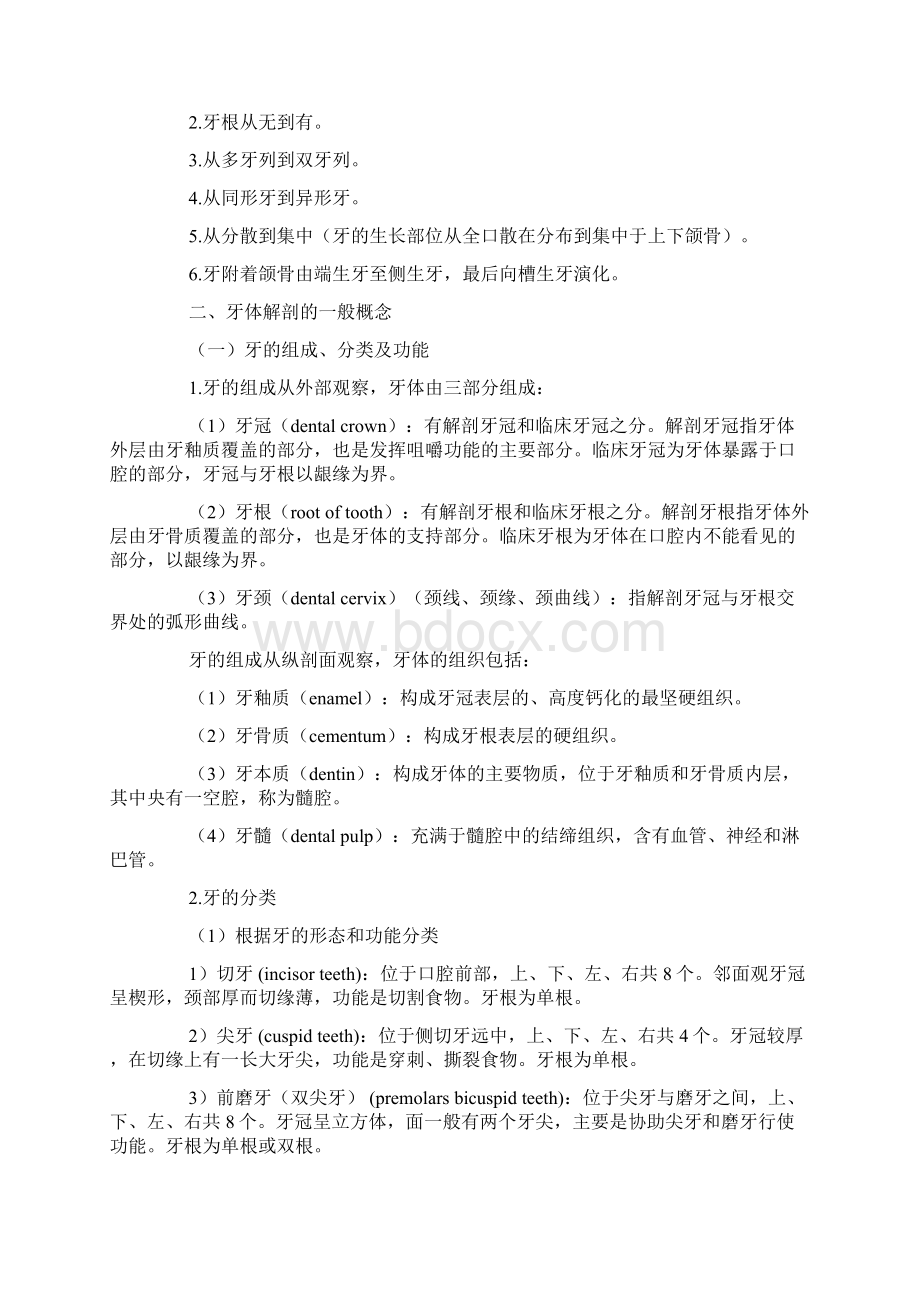 口腔解剖生理学超详细重点Word格式文档下载.docx_第2页