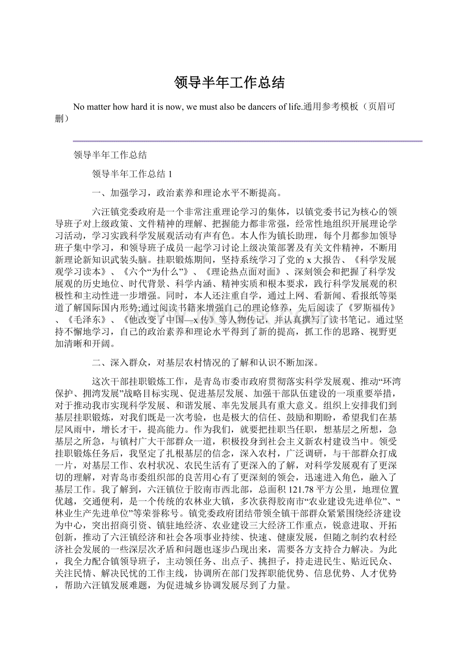 领导半年工作总结Word文档下载推荐.docx_第1页