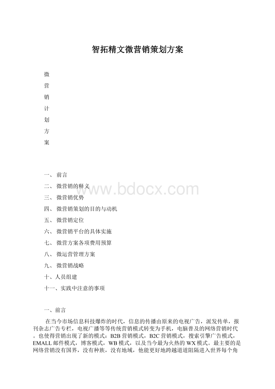 智拓精文微营销策划方案.docx_第1页