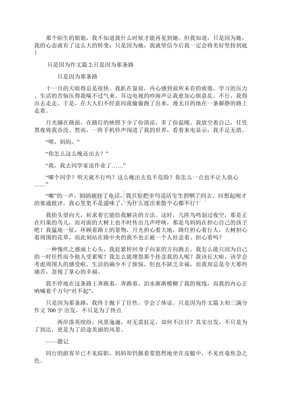 只是因为作文5篇共10页文档格式.docx_第2页