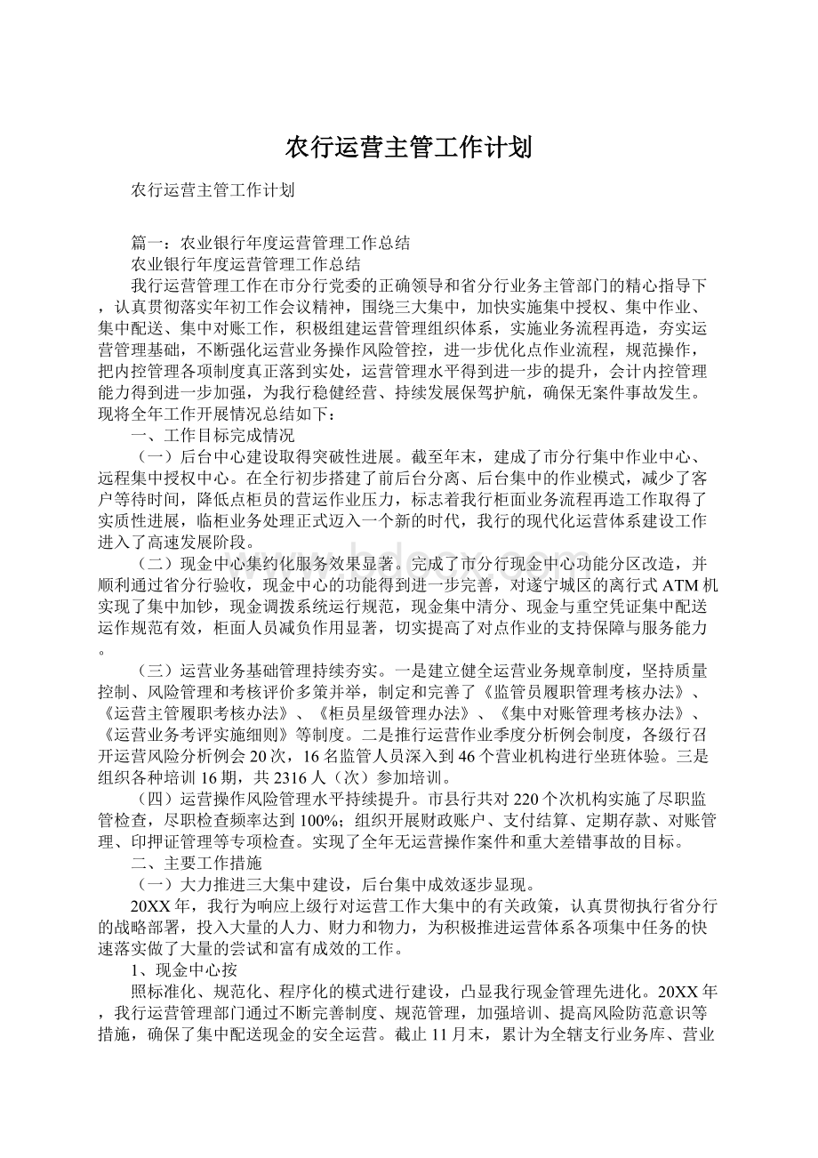 农行运营主管工作计划.docx