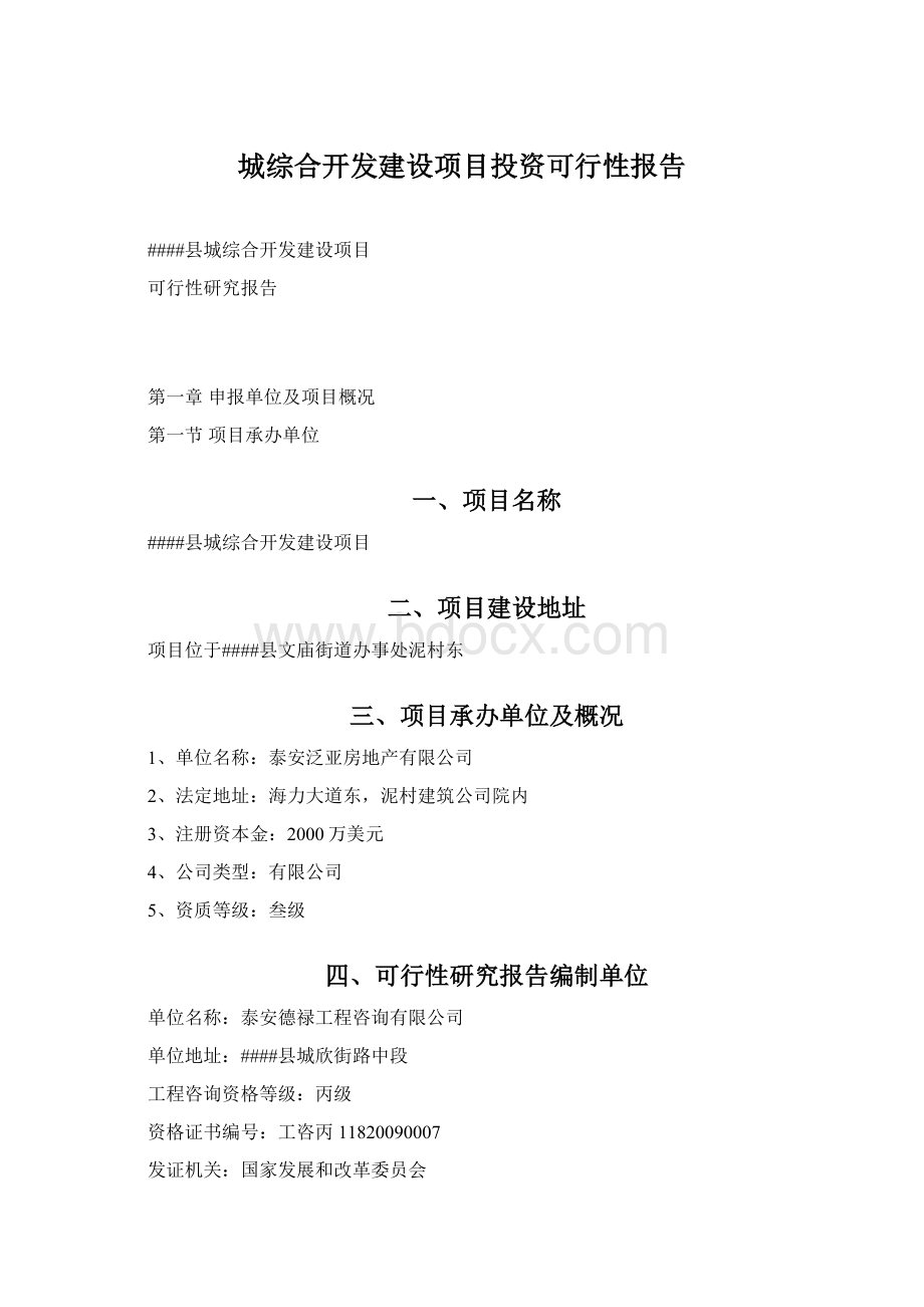 城综合开发建设项目投资可行性报告.docx_第1页