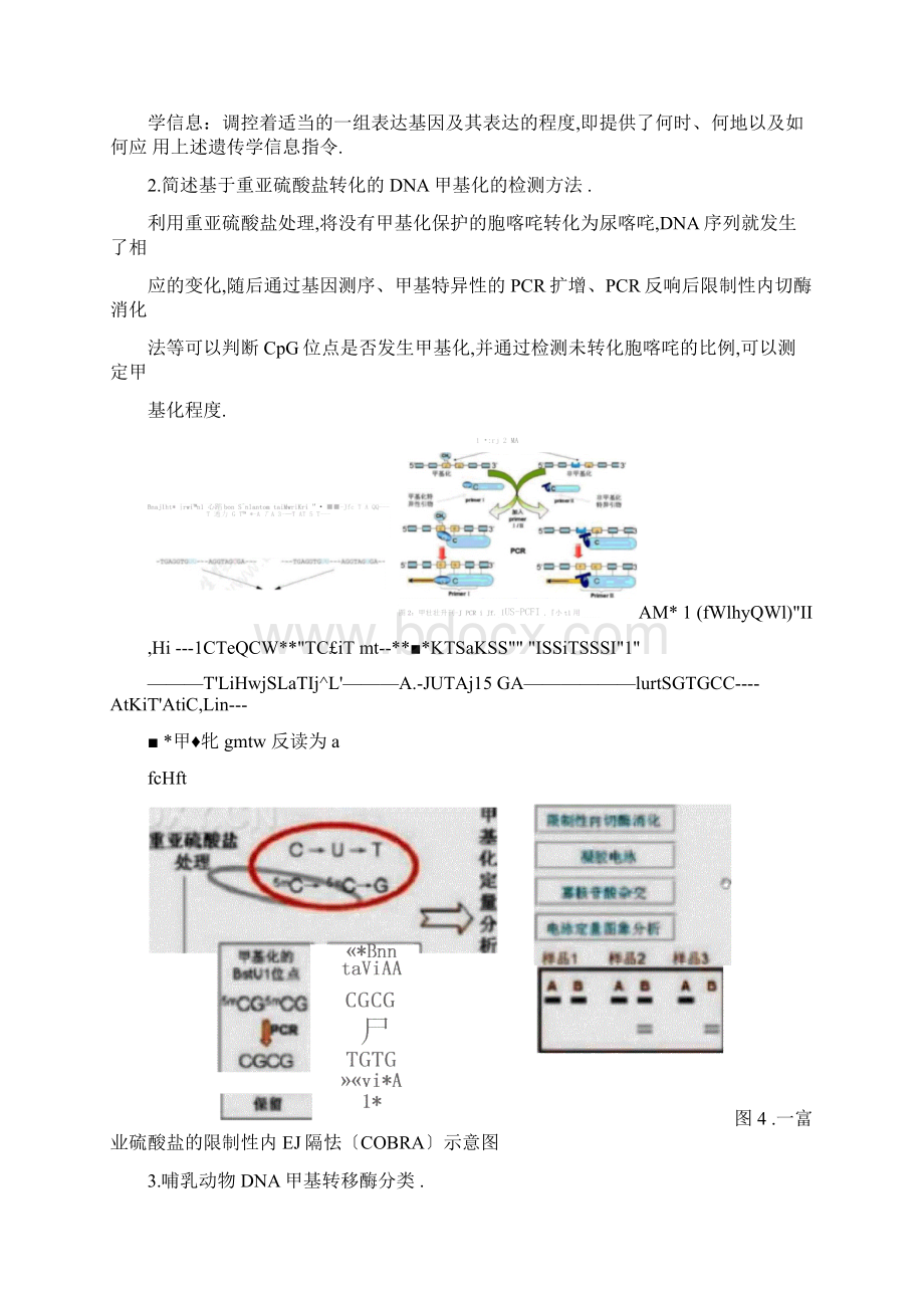 表观遗传学考试复习.docx_第3页