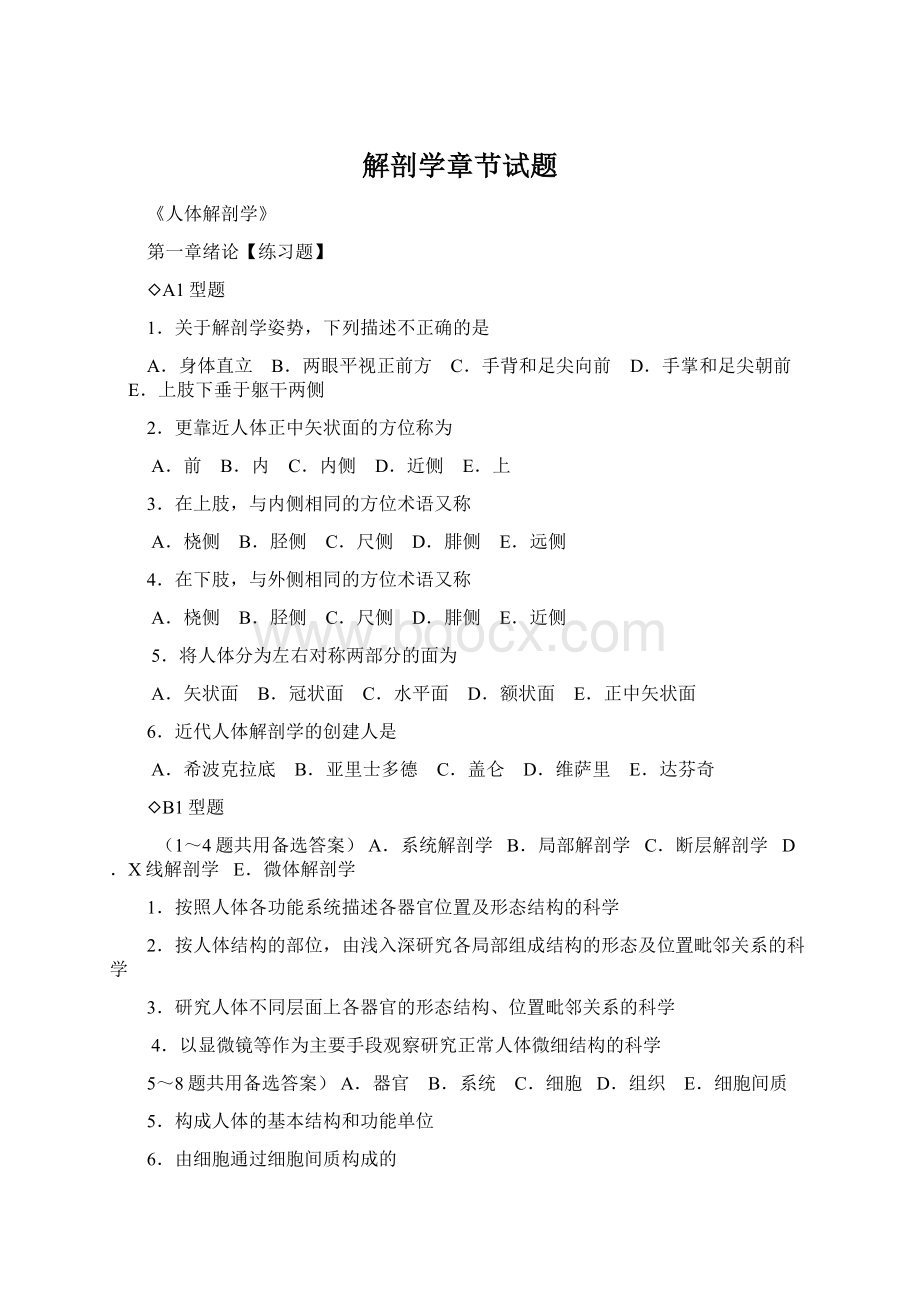 解剖学章节试题.docx_第1页