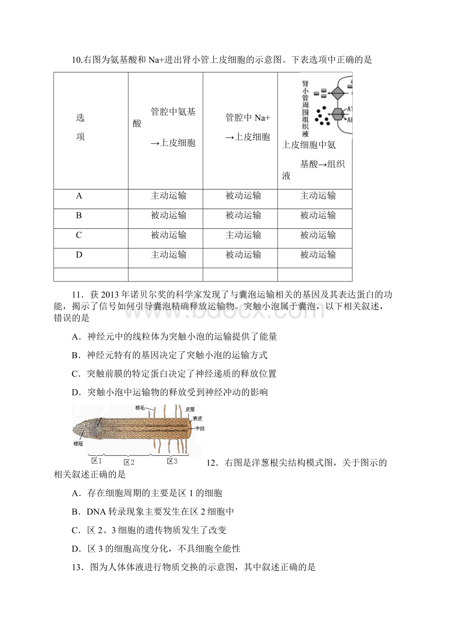 届上海市松江区高三上学期期末质量监控一模生物试题及答案Word格式文档下载.docx_第3页