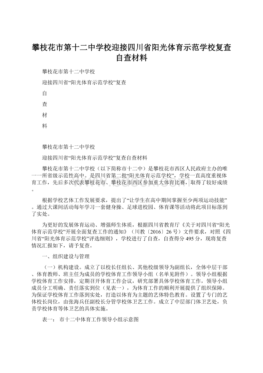 攀枝花市第十二中学校迎接四川省阳光体育示范学校复查自查材料文档格式.docx