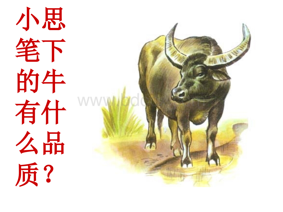中国的牛.ppt_第3页