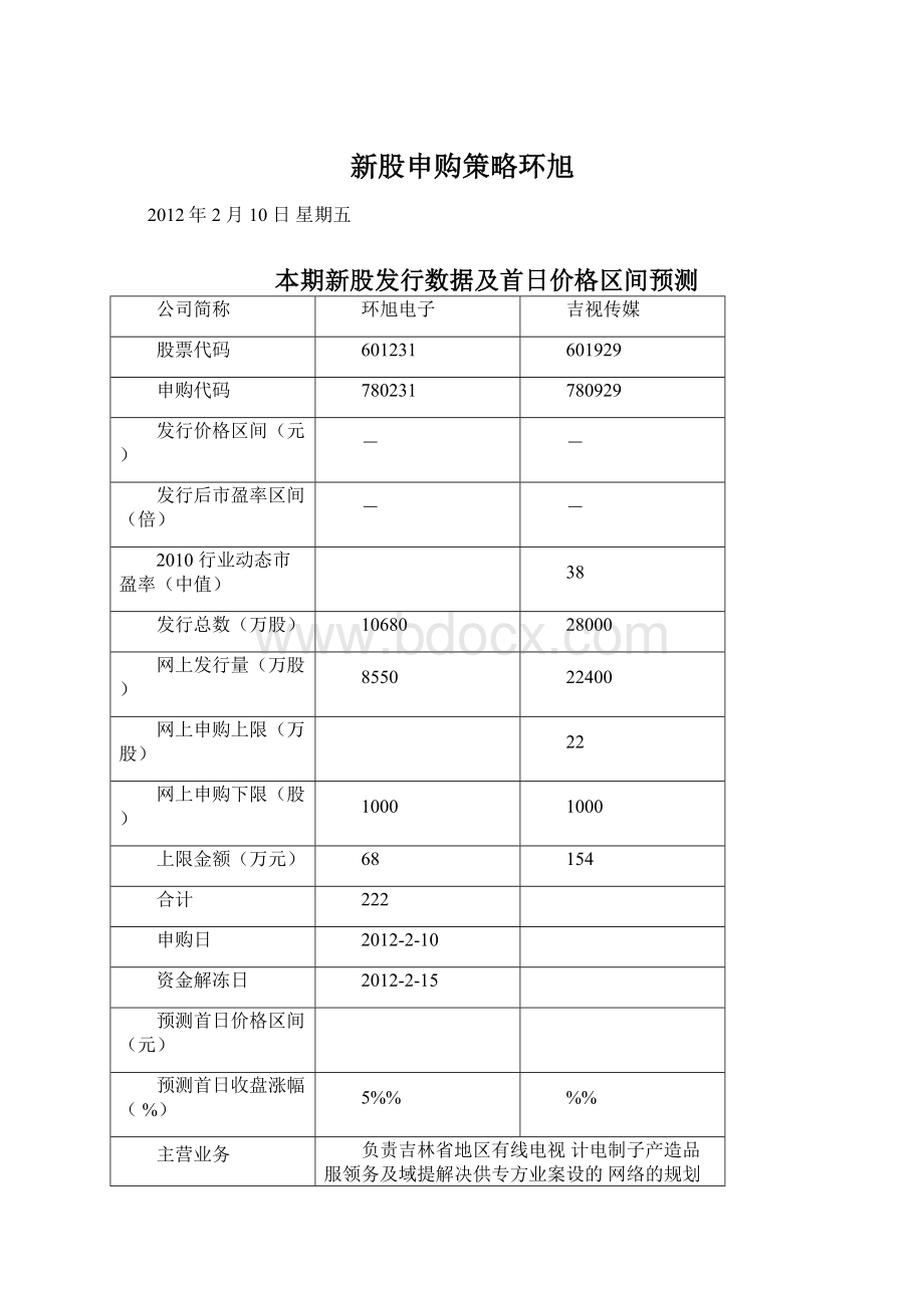 新股申购策略环旭Word格式文档下载.docx