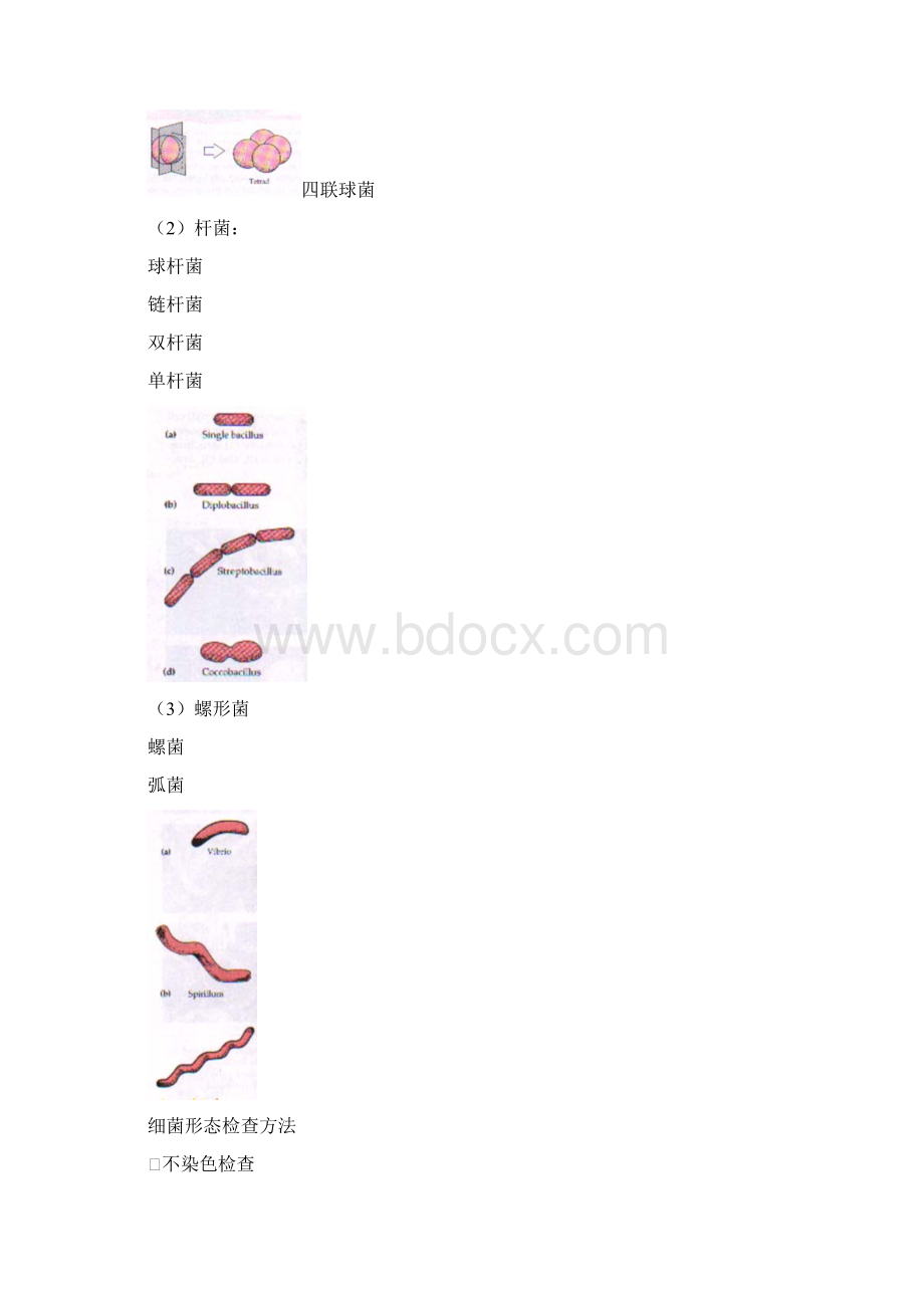 医学免疫学与病原微生物学.docx_第3页