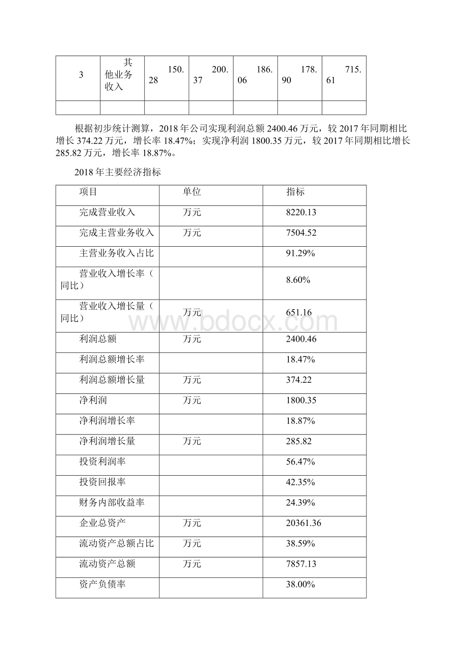 高档刺绣项目年度预算报告Word格式.docx_第3页