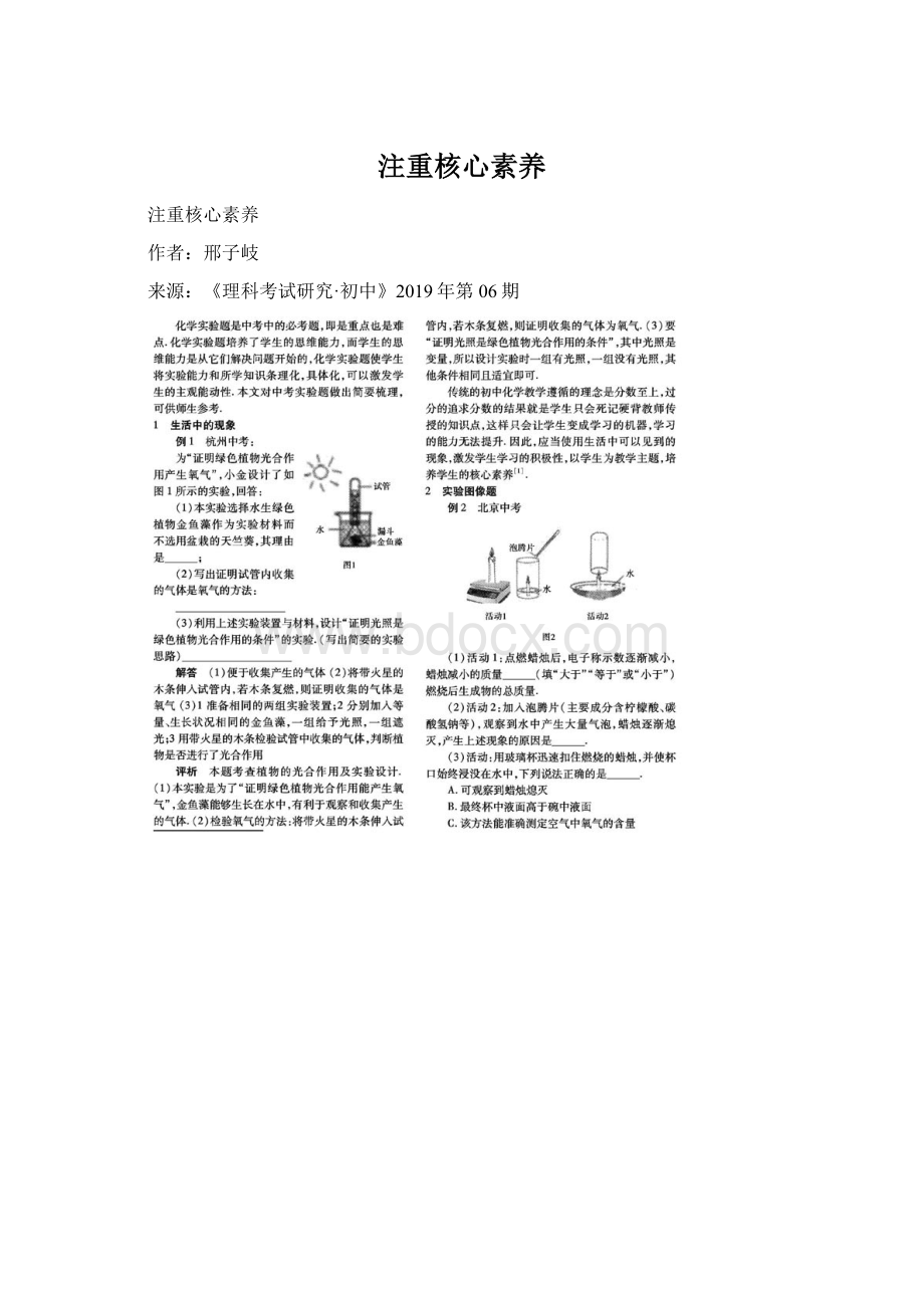 注重核心素养.docx_第1页