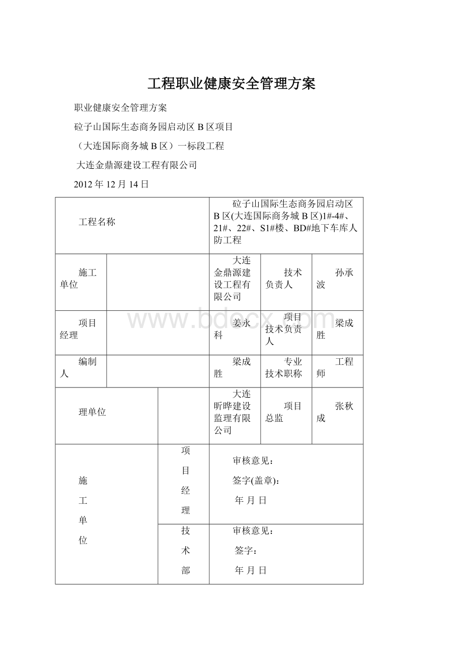 工程职业健康安全管理方案Word格式.docx