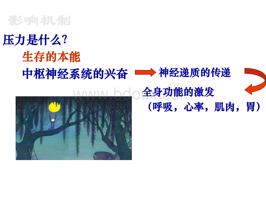 心理调适与压力缓解.ppt_第2页