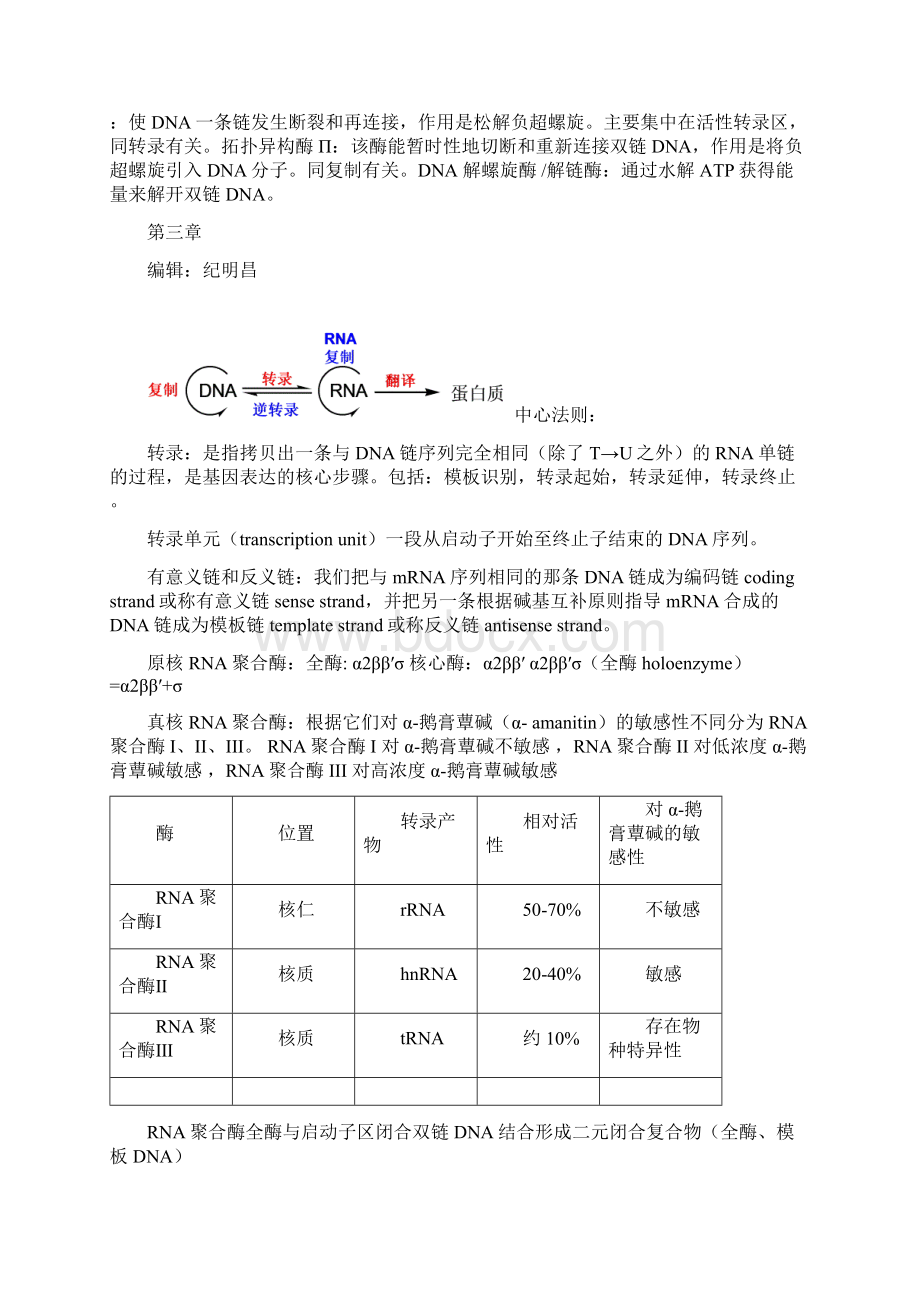 现代分子生物学复习资料全Word文档下载推荐.docx_第3页