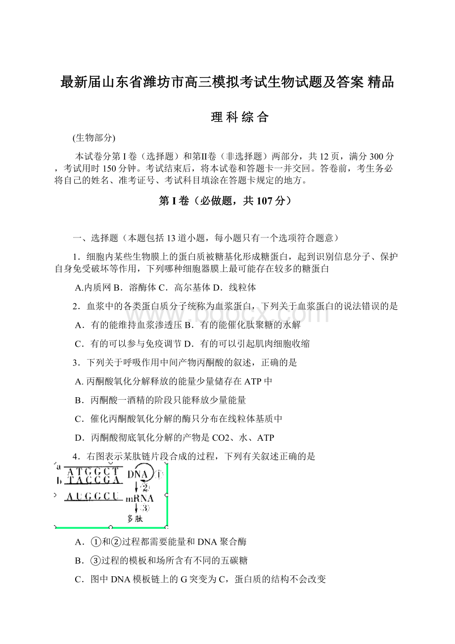 最新届山东省潍坊市高三模拟考试生物试题及答案 精品Word格式文档下载.docx