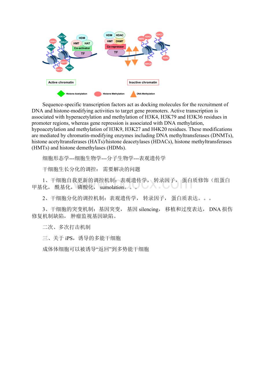 干细胞研究和应用中目前尚需解决和完善的一些方面干细胞的特性.docx_第3页