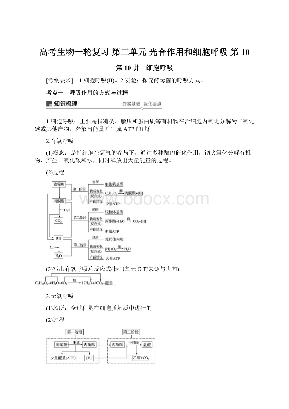 高考生物一轮复习 第三单元 光合作用和细胞呼吸 第10.docx