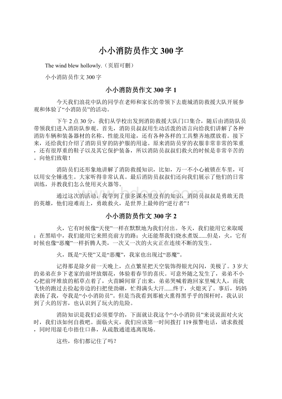 小小消防员作文300字.docx_第1页