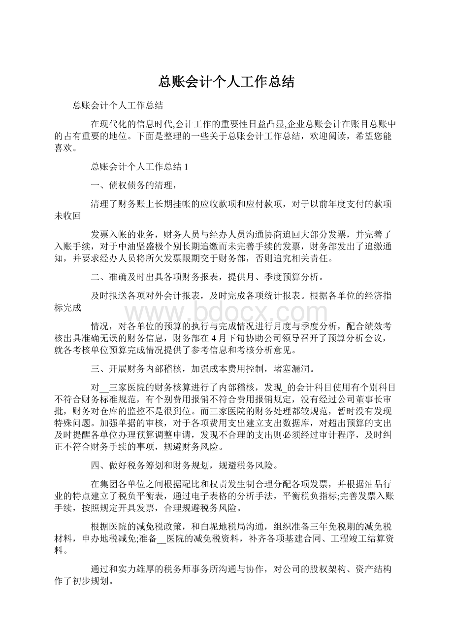 总账会计个人工作总结文档格式.docx