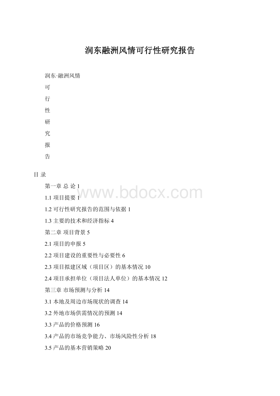 润东融洲风情可行性研究报告.docx_第1页