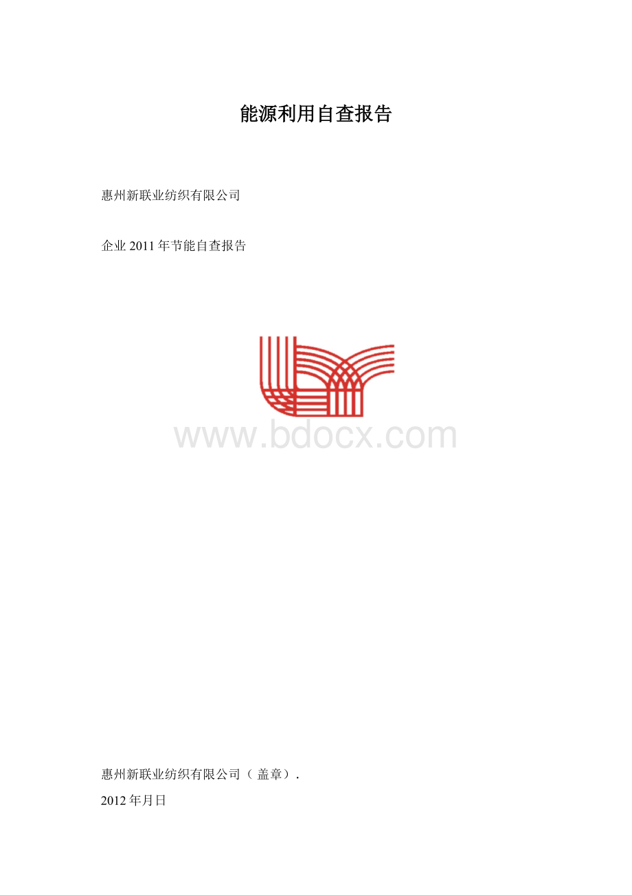 能源利用自查报告Word格式.docx