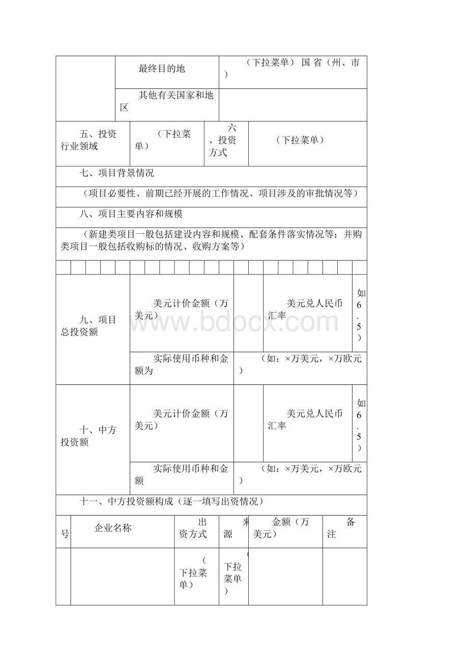 境外投资项目备案表.docx_第2页