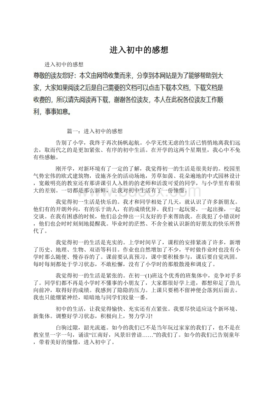 进入初中的感想文档格式.docx