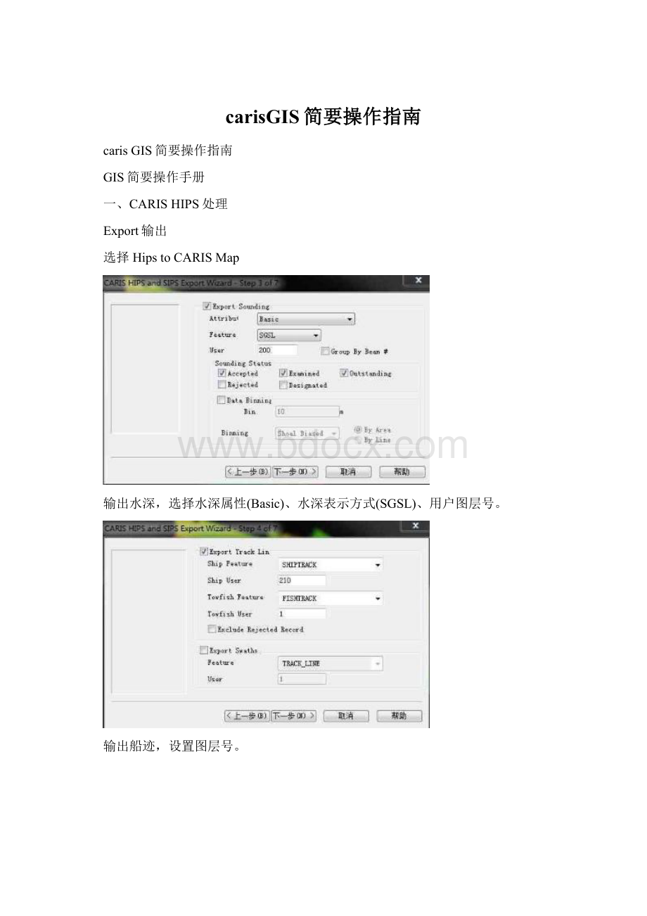 carisGIS简要操作指南.docx